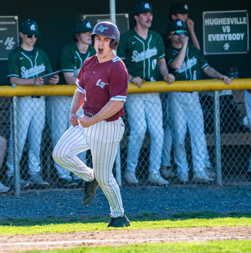 Ethan Nagy, Kaden Rodarmel help propel Loyalsock baseball past Hughesville News, Sports, Jobs